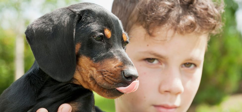 cómo son los perros salchichas con los niños